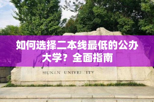 如何选择二本线最低的公办大学？全面指南