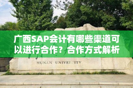 广西SAP会计有哪些渠道可以进行合作？合作方式解析与建议