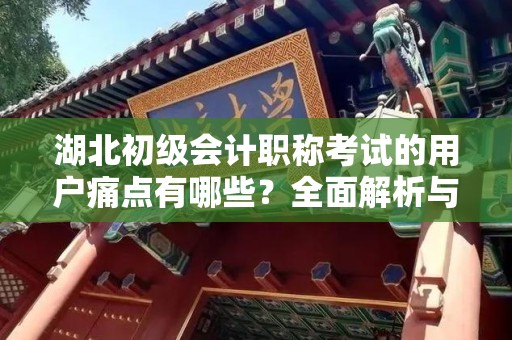 湖北初级会计职称考试的用户痛点有哪些？全面解析与解决方案