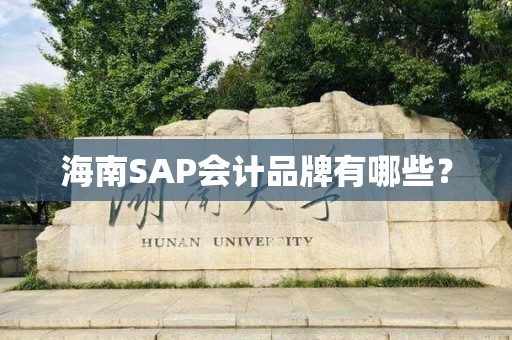 海南SAP会计品牌有哪些？