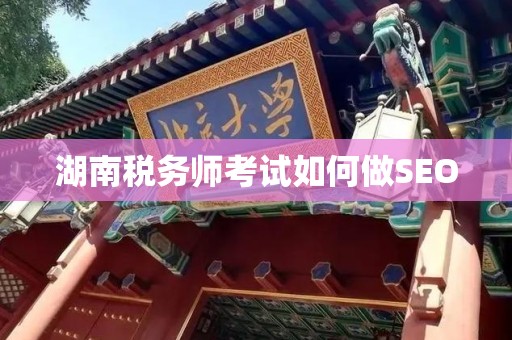 湖南税务师考试如何做SEO