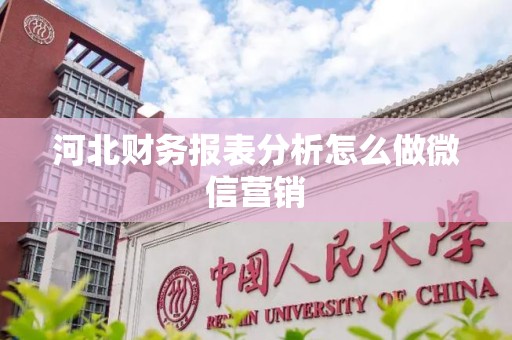 河北财务报表分析怎么做微信营销