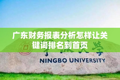 广东财务报表分析怎样让关键词排名到首页
