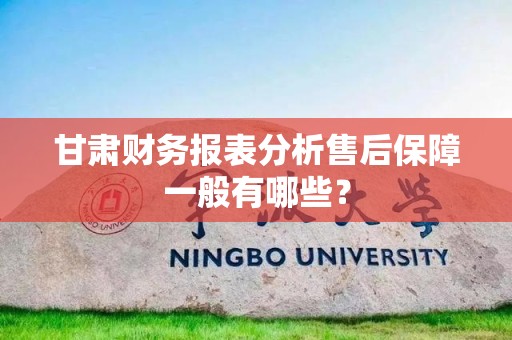 甘肃财务报表分析售后保障一般有哪些？