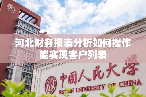 河北财务报表分析如何操作能实现客户列表
