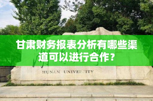 甘肃财务报表分析有哪些渠道可以进行合作？
