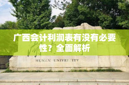 广西会计利润表有没有必要性？全面解析