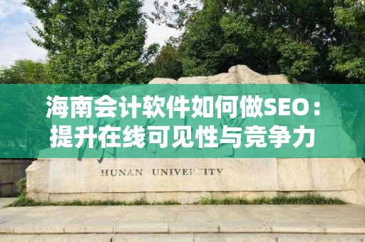 海南会计软件如何做SEO：提升在线可见性与竞争力