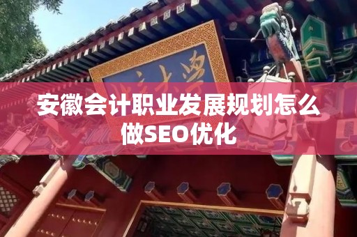 安徽会计职业发展规划怎么做SEO优化
