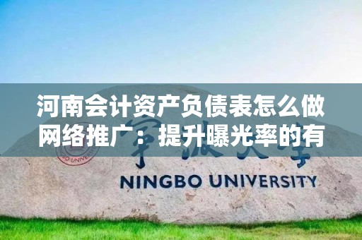 河南会计资产负债表怎么做网络推广：提升曝光率的有效策略