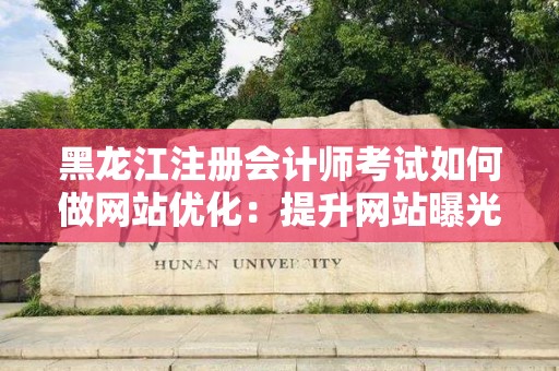 黑龙江注册会计师考试如何做网站优化：提升网站曝光率的有效策略