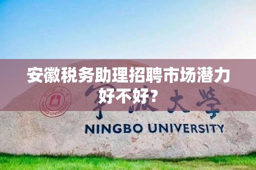 安徽税务助理招聘市场潜力好不好？