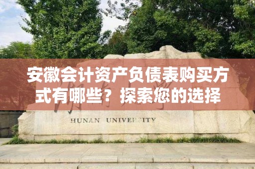 安徽会计资产负债表购买方式有哪些？探索您的选择