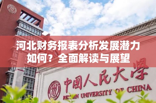 河北财务报表分析发展潜力如何？全面解读与展望