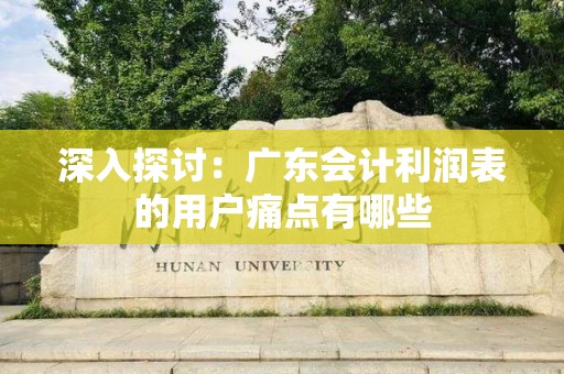 深入探讨：广东会计利润表的用户痛点有哪些