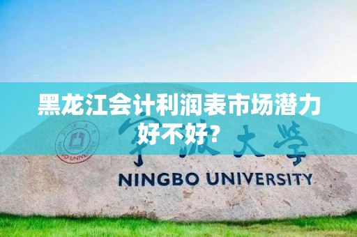 黑龙江会计利润表市场潜力好不好？