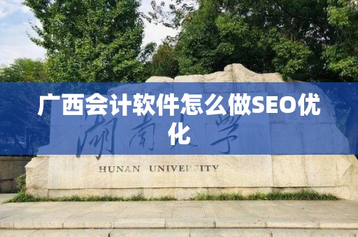 广西会计软件怎么做SEO优化