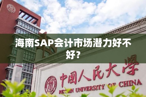 海南SAP会计市场潜力好不好？