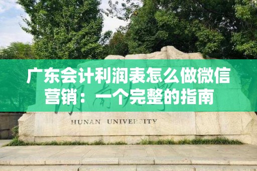 广东会计利润表怎么做微信营销：一个完整的指南