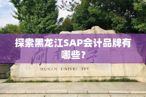 探索黑龙江SAP会计品牌有哪些？