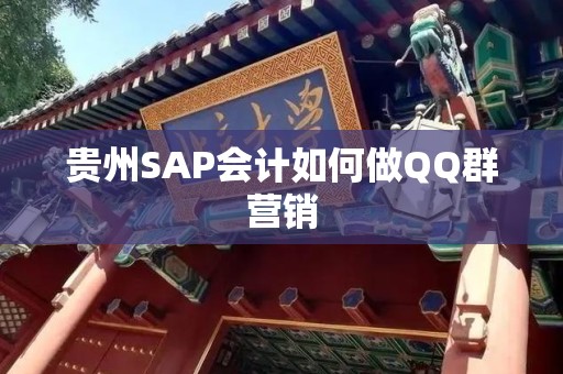 贵州SAP会计如何做QQ群营销
