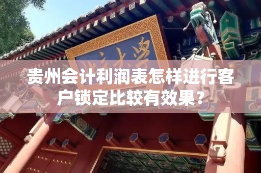 贵州会计利润表怎样进行客户锁定比较有效果？