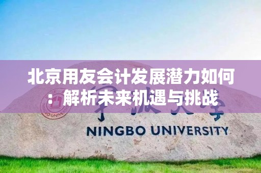 北京用友会计发展潜力如何：解析未来机遇与挑战