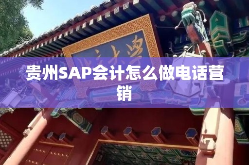 贵州SAP会计怎么做电话营销