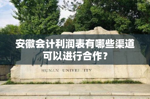 安徽会计利润表有哪些渠道可以进行合作？