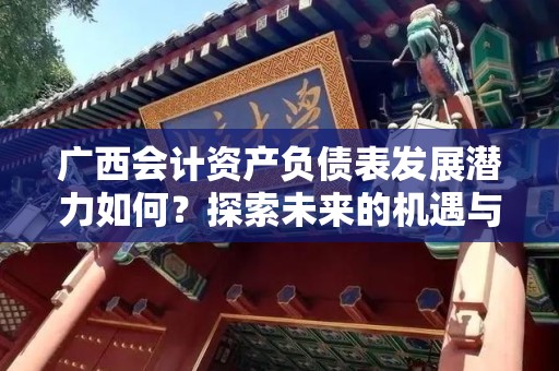 广西会计资产负债表发展潜力如何？探索未来的机遇与挑战