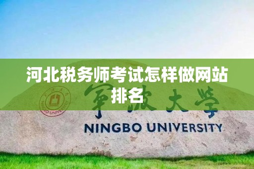 河北税务师考试怎样做网站排名