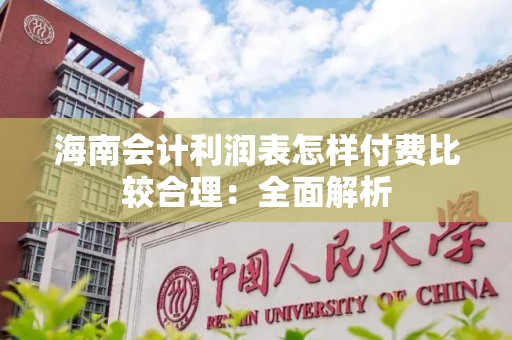 海南会计利润表怎样付费比较合理：全面解析