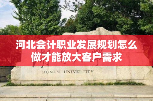 河北会计职业发展规划怎么做才能放大客户需求