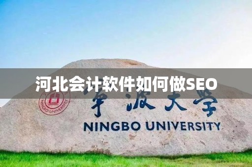 河北会计软件如何做SEO