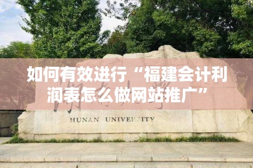 如何有效进行“福建会计利润表怎么做网站推广”